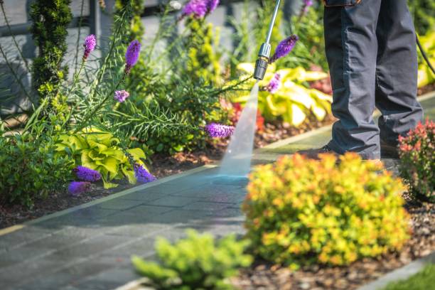 Best Animal Enclosure Cleaning  in Metairie, LA