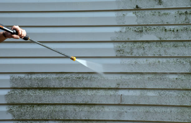 Best Residential Exterior Washing  in Metairie, LA